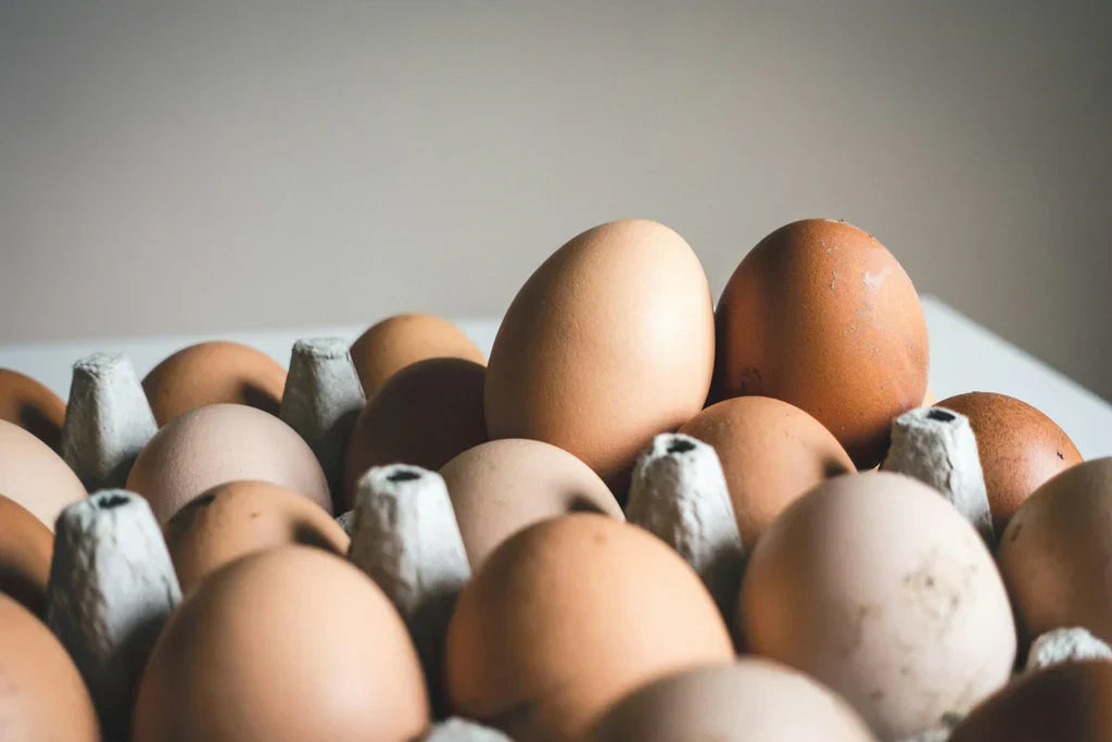 13 High-Protein, Low-Carb Snacks That Will Satisfy You for Hours
